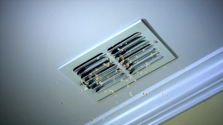 Best HVAC Duct Inspection Services  in Rosanky, TX